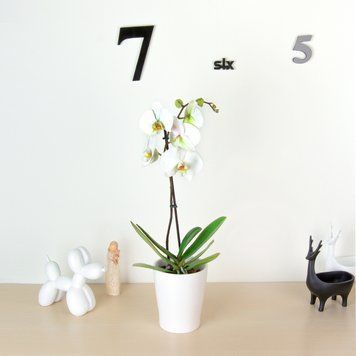 Горшок для цветов МВМ DH-FLOWERS-29 DH-FLOWERS-29 фото