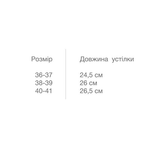 Капці жіночі  NANA МВМ SL-03 36-37 SL-03 36-37 фото