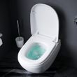 Унітаз підвісний AM.PM FlashClean Sensation C301700WH