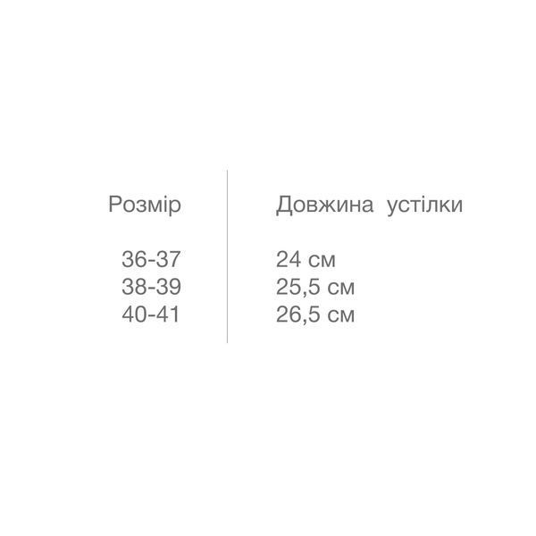 Капці жіночі  VIRA  МВМ SL-04 40-41 SL-04 40-41 фото